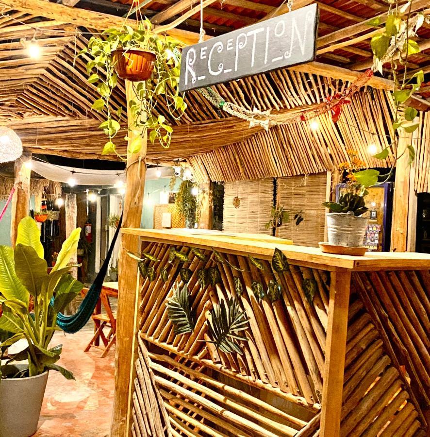 Barco Verde Hostel Holbox Extérieur photo