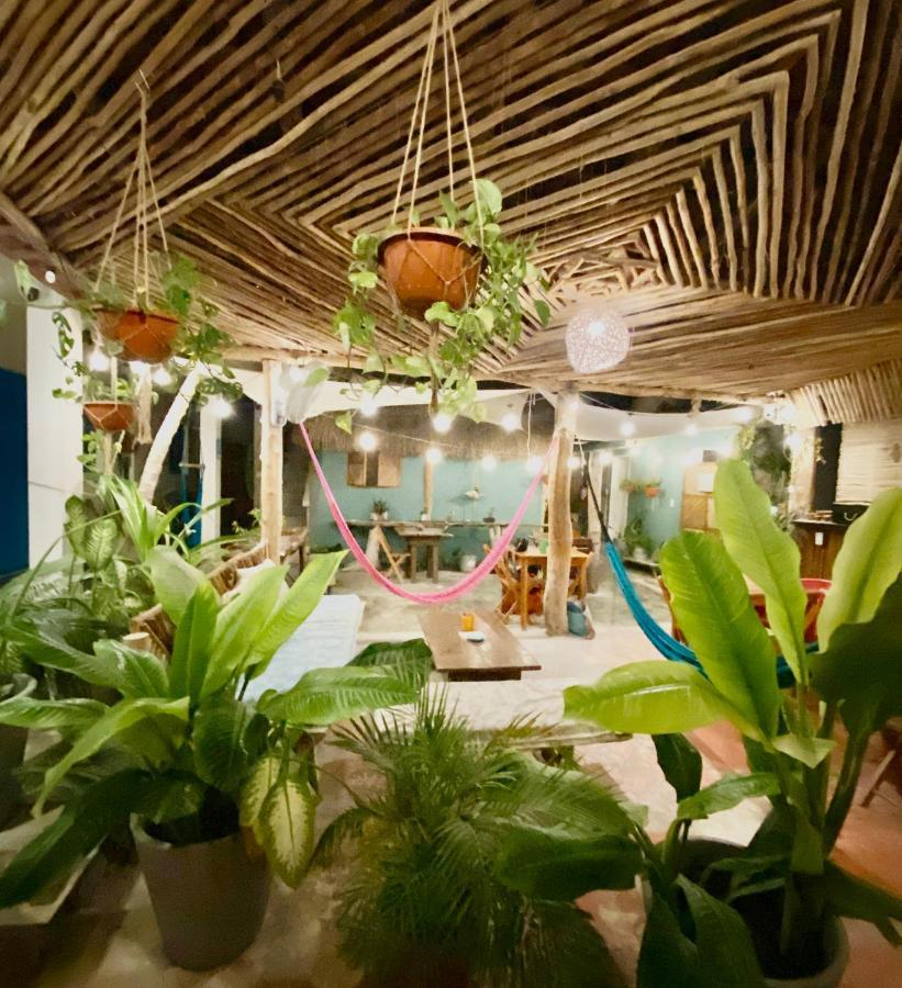 Barco Verde Hostel Holbox Extérieur photo