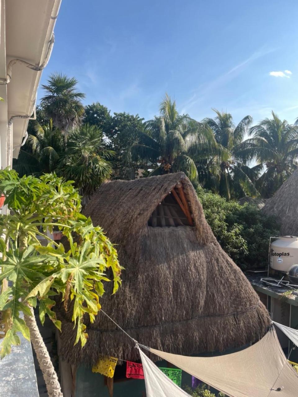 Barco Verde Hostel Holbox Extérieur photo