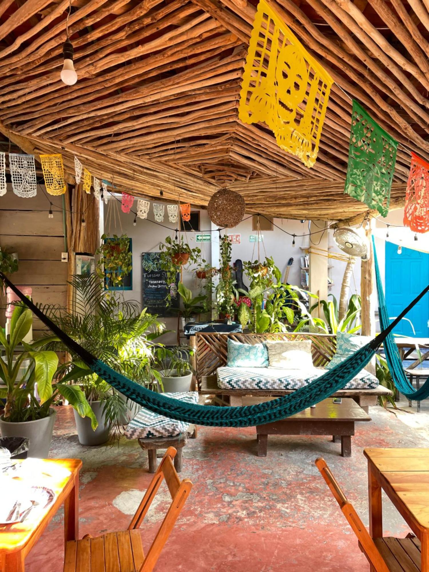 Barco Verde Hostel Holbox Extérieur photo